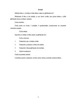 Referāts 'Lietišķa cilvēka ārējais izskats un ģērbšanās stils', 3.