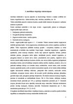 Referāts 'Aerobika sākumskolas bērniem', 8.