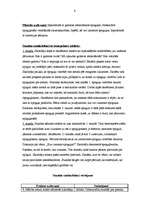 Prakses atskaite 'Pedagoģiskais process sākumskolā. Vērojumu prakses dienasgrāmata', 6.