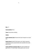 Prakses atskaite 'Pedagoģiskais process sākumskolā. Vērojumu prakses dienasgrāmata', 9.