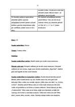 Prakses atskaite 'Pedagoģiskais process sākumskolā. Vērojumu prakses dienasgrāmata', 13.