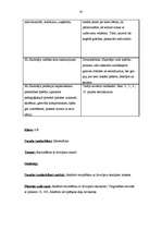 Prakses atskaite 'Pedagoģiskais process sākumskolā. Vērojumu prakses dienasgrāmata', 45.