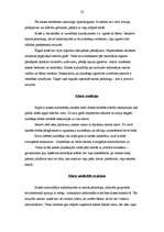 Prakses atskaite 'Pedagoģiskais process sākumskolā. Vērojumu prakses dienasgrāmata', 58.