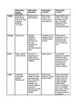 Konspekts 'Reformācija', 1.