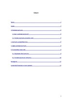 Referāts 'Publisko iepirkumu problemātika vides jomā', 2.