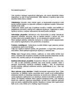 Konspekts 'Kas ietekmē reputāciju', 1.