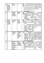 Konspekts 'Ilūkstes pauguraines skaistākās pērles', 3.