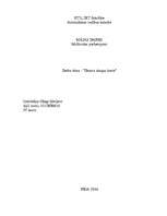 Konspekts 'Datora skaņas karte', 1.