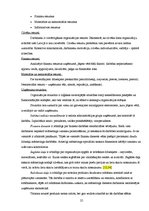 Diplomdarbs 'Līvu akvaparka produkta virzība tirgū', 25.