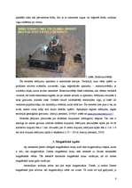 Referāts 'Ģeofizikālo izpētes metožu pielietošanas iespējas arheoloģijā', 8.