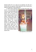 Referāts 'Ģeofizikālo izpētes metožu pielietošanas iespējas arheoloģijā', 9.