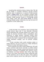 Konspekts 'Gotiskais stils', 8.