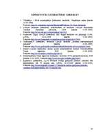 Referāts 'Nodarbinātības un bezdarba izpēte Saldus rajonā un Latvijā', 20.