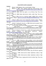 Referāts 'Administratīvā līguma noslēgšana administratīvajā procesā', 24.