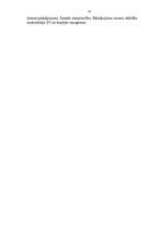 Referāts 'Mazo un vidējo uzņēmumu raksturojums', 23.