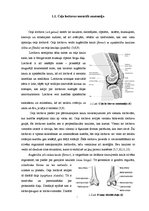 Diplomdarbs 'Datortomogrāfijas izmeklējuma kvalitātes izvērtējums ceļa locītavas traumu gadīj', 10.
