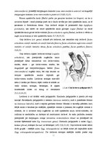 Diplomdarbs 'Datortomogrāfijas izmeklējuma kvalitātes izvērtējums ceļa locītavas traumu gadīj', 12.