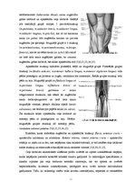 Diplomdarbs 'Datortomogrāfijas izmeklējuma kvalitātes izvērtējums ceļa locītavas traumu gadīj', 14.