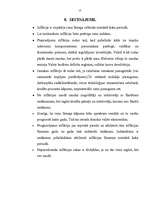 Referāts 'Inflācijas veidi, to raksturojums', 13.