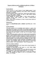 Konspekts 'Līguma jēdziens, puses, priekšmets, galvenie un blakus noteikumi', 1.