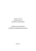 Referāts 'Iedzīvotāju attieksme pret ceļošanu', 17.