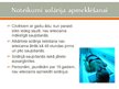 Prezentācija 'Ultravioletais starojums', 11.