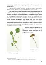 Referāts 'Jonizējošā starojuma ietekme uz dzīviem organismiem', 20.