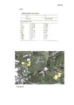 Referāts 'Jonizējošā starojuma ietekme uz dzīviem organismiem', 32.