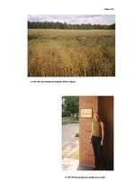 Referāts 'Jonizējošā starojuma ietekme uz dzīviem organismiem', 34.