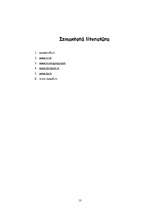 Referāts 'Uzņēmuma "VEF Radiotehnika RRR" analīze', 17.