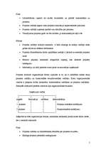 Referāts 'Projekts, tā veidošana, vadīšana, specifika', 2.