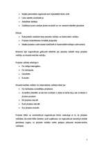 Referāts 'Projekts, tā veidošana, vadīšana, specifika', 3.