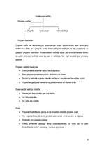 Referāts 'Projekts, tā veidošana, vadīšana, specifika', 4.