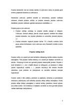 Referāts 'Projekts, tā veidošana, vadīšana, specifika', 6.