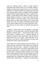 Referāts 'Projekts, tā veidošana, vadīšana, specifika', 7.