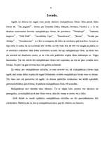 Referāts 'Multiplikācijas kino attīstība', 3.