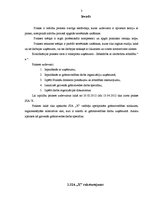 Prakses atskaite 'Pirmsdiploma prakse SIA "X"', 3.