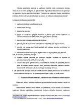 Prakses atskaite 'Pirmsdiploma prakse SIA "X"', 6.