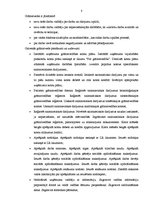 Prakses atskaite 'Pirmsdiploma prakse SIA "X"', 8.