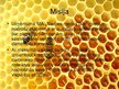 Biznesa plāns 'Uzņēmums SIA "Stelpes medus bite"', 23.