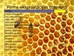 Biznesa plāns 'Uzņēmums SIA "Stelpes medus bite"', 27.