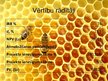 Biznesa plāns 'Uzņēmums SIA "Stelpes medus bite"', 31.
