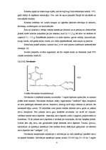 Referāts 'Vietējās anestēzijas līdzekļi', 8.