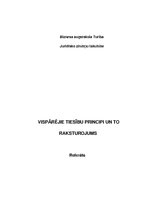 Referāts 'Vispārējie tiesību principi', 1.