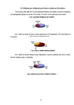 Referāts 'Krievi Jēkabpilī - kultūra un saknes', 16.