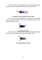 Referāts 'Krievi Jēkabpilī - kultūra un saknes', 17.