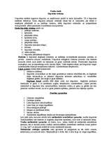 Konspekts 'Tvaiku katlu degvielas sistēma', 1.