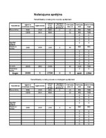 Konspekts 'Ražošanas plāns', 14.