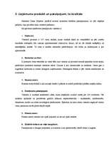 Prakses atskaite 'Viesnīcas "Sheraton Diana Majestic" apraksts', 8.