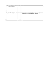 Konspekts 'Aprūpes plāns', 32.